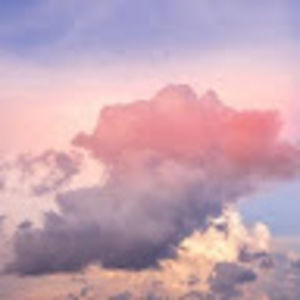 Meet your Posher, Gracie